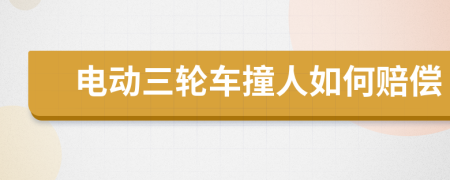 电动三轮车撞人如何赔偿