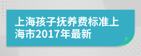 上海孩子抚养费标准上海市2017年最新