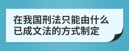 在我国刑法只能由什么已成文法的方式制定