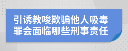 引诱教唆欺骗他人吸毒罪会面临哪些刑事责任