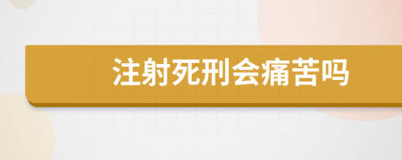 注射死刑会痛苦吗