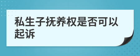 私生子抚养权是否可以起诉