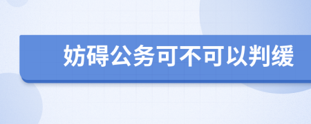 妨碍公务可不可以判缓