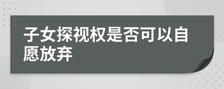 子女探视权是否可以自愿放弃