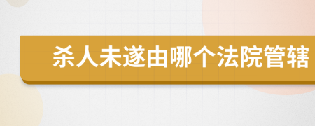 杀人未遂由哪个法院管辖