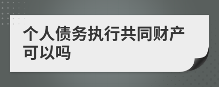 个人债务执行共同财产可以吗