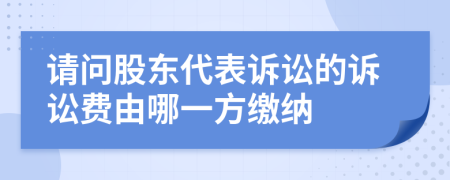请问股东代表诉讼的诉讼费由哪一方缴纳