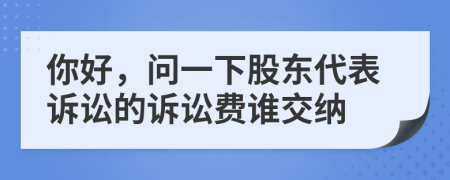 你好，问一下股东代表诉讼的诉讼费谁交纳