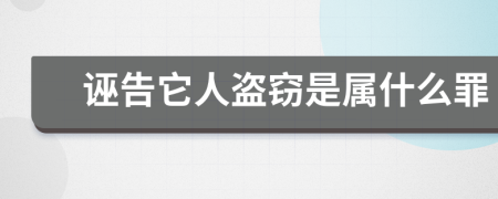 诬告它人盗窃是属什么罪