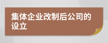 集体企业改制后公司的设立