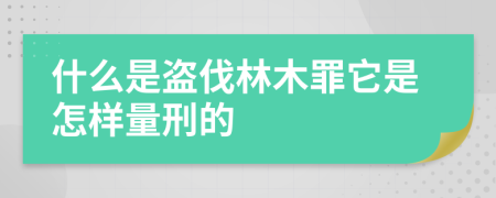 什么是盗伐林木罪它是怎样量刑的