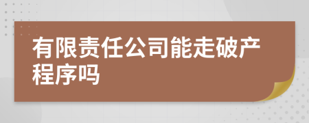 有限责任公司能走破产程序吗