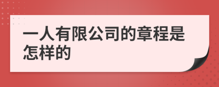 一人有限公司的章程是怎样的