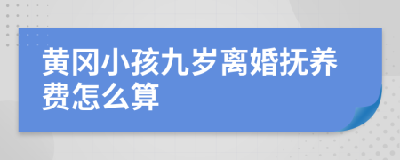 黄冈小孩九岁离婚抚养费怎么算