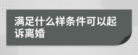 满足什么样条件可以起诉离婚