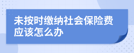 未按时缴纳社会保险费应该怎么办