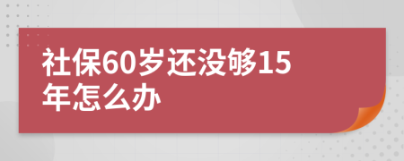 社保60岁还没够15年怎么办