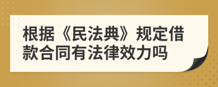 根据《民法典》规定借款合同有法律效力吗