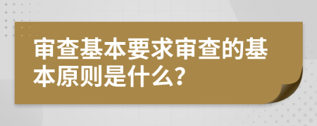 审查基本要求审查的基本原则是什么？