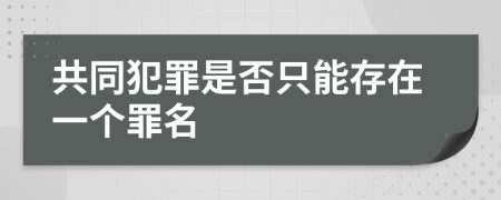 共同犯罪是否只能存在一个罪名