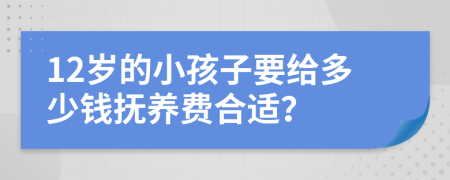 12岁的小孩子要给多少钱抚养费合适？