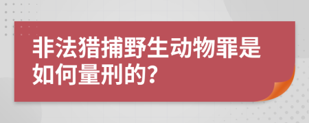 非法猎捕野生动物罪是如何量刑的？