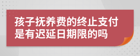 孩子抚养费的终止支付是有迟延日期限的吗