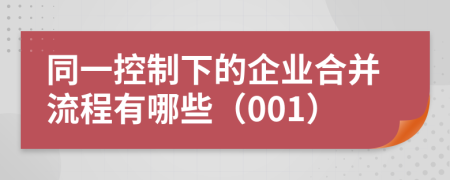 同一控制下的企业合并流程有哪些（001）