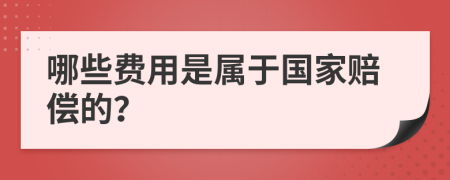 哪些费用是属于国家赔偿的？