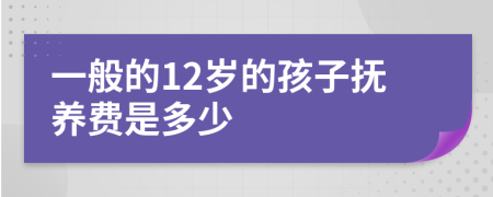 一般的12岁的孩子抚养费是多少