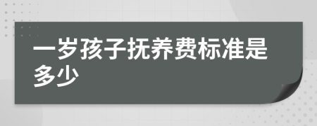 一岁孩子抚养费标准是多少