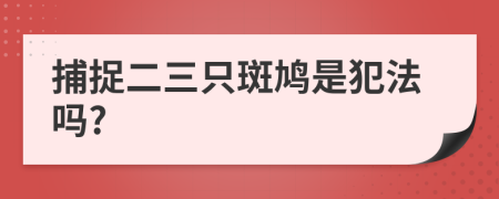 捕捉二三只斑鸠是犯法吗?