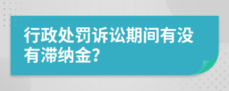 行政处罚诉讼期间有没有滞纳金？