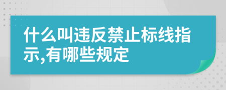 什么叫违反禁止标线指示,有哪些规定