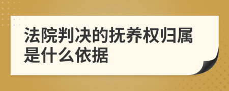 法院判决的抚养权归属是什么依据