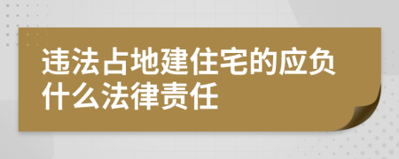 违法占地建住宅的应负什么法律责任