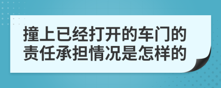 撞上已经打开的车门的责任承担情况是怎样的