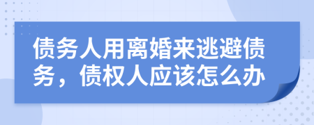 债务人用离婚来逃避债务，债权人应该怎么办