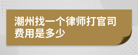 潮州找一个律师打官司费用是多少