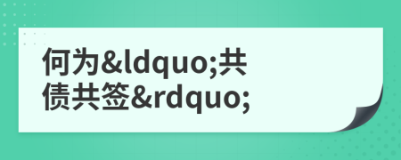 何为&ldquo;共债共签&rdquo;