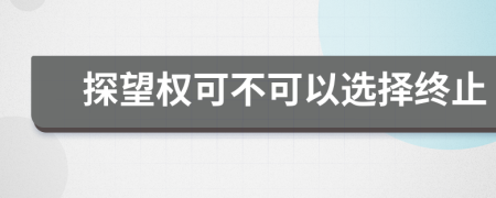 探望权可不可以选择终止