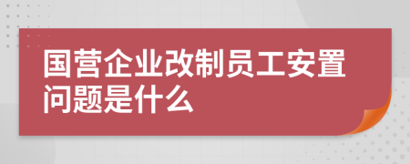 国营企业改制员工安置问题是什么