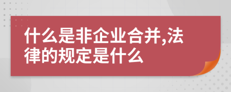 什么是非企业合并,法律的规定是什么