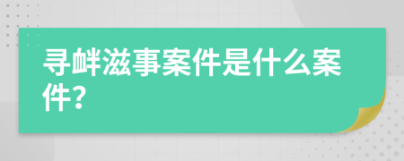 寻衅滋事案件是什么案件？