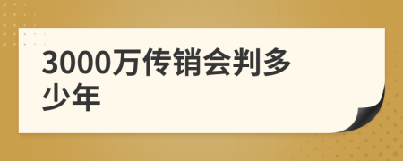 3000万传销会判多少年