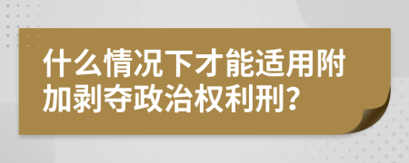 什么情况下才能适用附加剥夺政治权利刑？