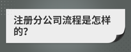 注册分公司流程是怎样的？