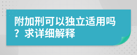 附加刑可以独立适用吗？求详细解释