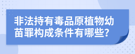 非法持有毒品原植物幼苗罪构成条件有哪些？