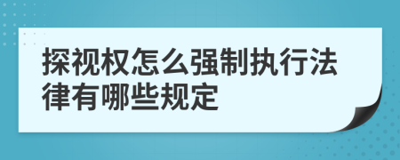 探视权怎么强制执行法律有哪些规定